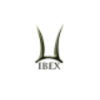 ibex limited