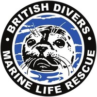 british divers marine life rescue