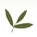 rowan consultancy ltd