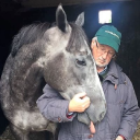 allan bloodlines limited