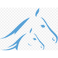 bransby horses trading limited