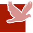 peter stewart associates limited