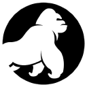 silverback systems limited