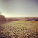 38 woodland rise limited