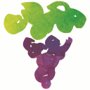 raymond reynolds limited