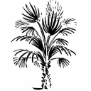 architectural plants limited