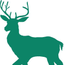 canbury school limited