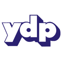 y d p limited