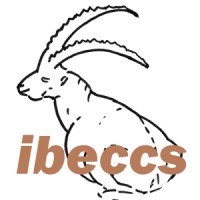 ibeccs ltd