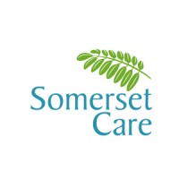 somerset care limited