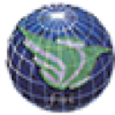 first strategy limited