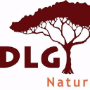 dlgn limited