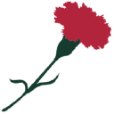 egerton house limited