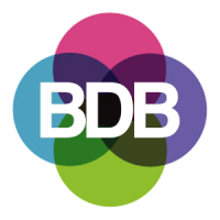 bdb global limited