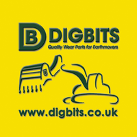 digbits limited