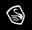 black swan international limited