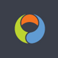 matrix polymers limited