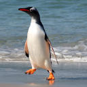 last frontiers limited