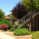 falcon court limited