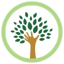 leasing programmes limited