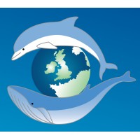 sea watch foundation - the cetacean monitoring unit