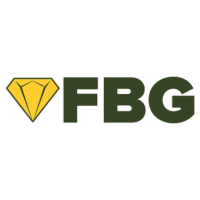 f.b.g. limited