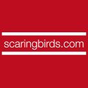 scaring birds ltd
