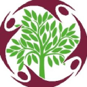 tettenhall wood limited