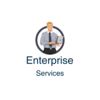 enterprise services limited