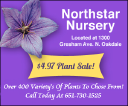 north star nursery limited