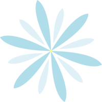 caring connections limited