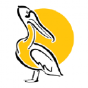 yellow pelican ltd