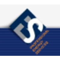 professional energy services limited