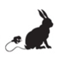 rabbit computers limited