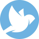 finch consulting limited