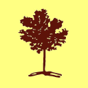 the rowan organisation