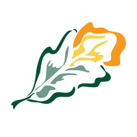 barchester healthcare limited