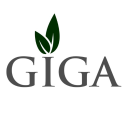 giga solutions limited
