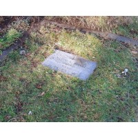 the surrey pet cemetery limited