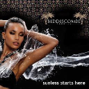 biddiscombes limited