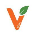 vbites foods limited