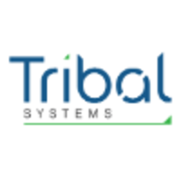 tribal systems limited