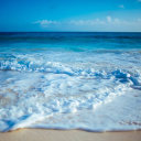 brewood travel limited