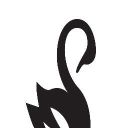 62 marlborough place limited