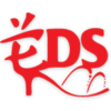 e.d.s. holdings limited