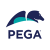 pegasystems limited