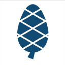 fir-cone limited