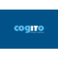 cogito it ltd