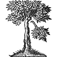 consortium of european research libraries