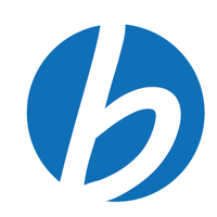 boston insurance brokers limited